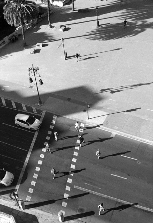 An overhead view shows people and cars on a street with long shadows from palm trees and streetlights.