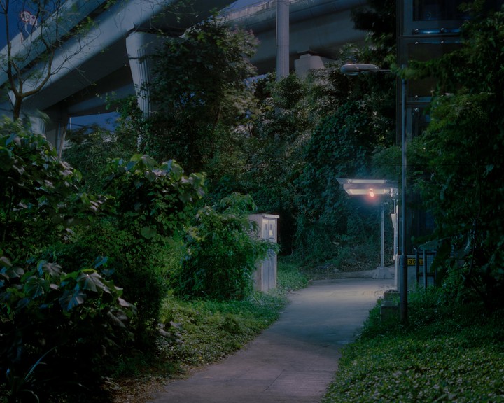 A path winds through lush green foliage under an elevated highway at night, illuminated by a single streetlamp.