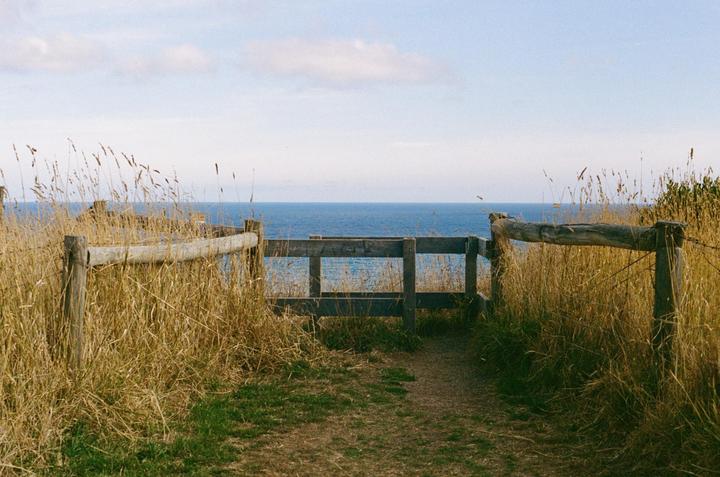 A dirt path leads to a wooden fence overlooking the ocean under a bright sky.
