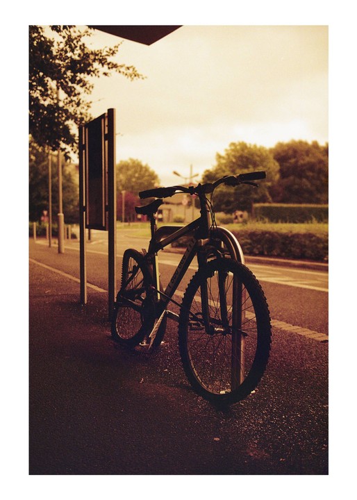 A bicycle is parked on a wet street next to a sign and trees.