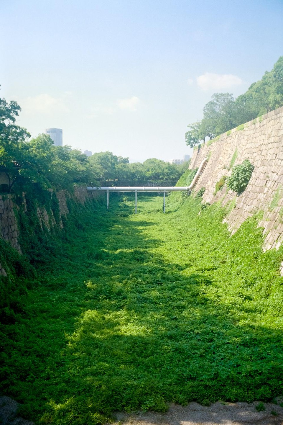 A deep, narrow ditch with stone walls is overgrown with green foliage, and a white pipe bridge crosses it.