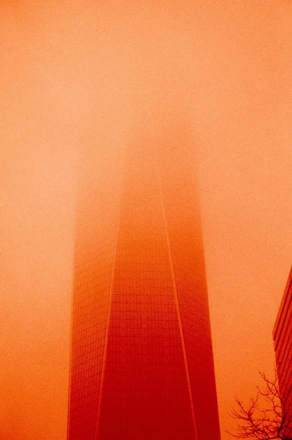 A tall building is partially obscured by fog, with a bare tree branch visible in the lower right corner.