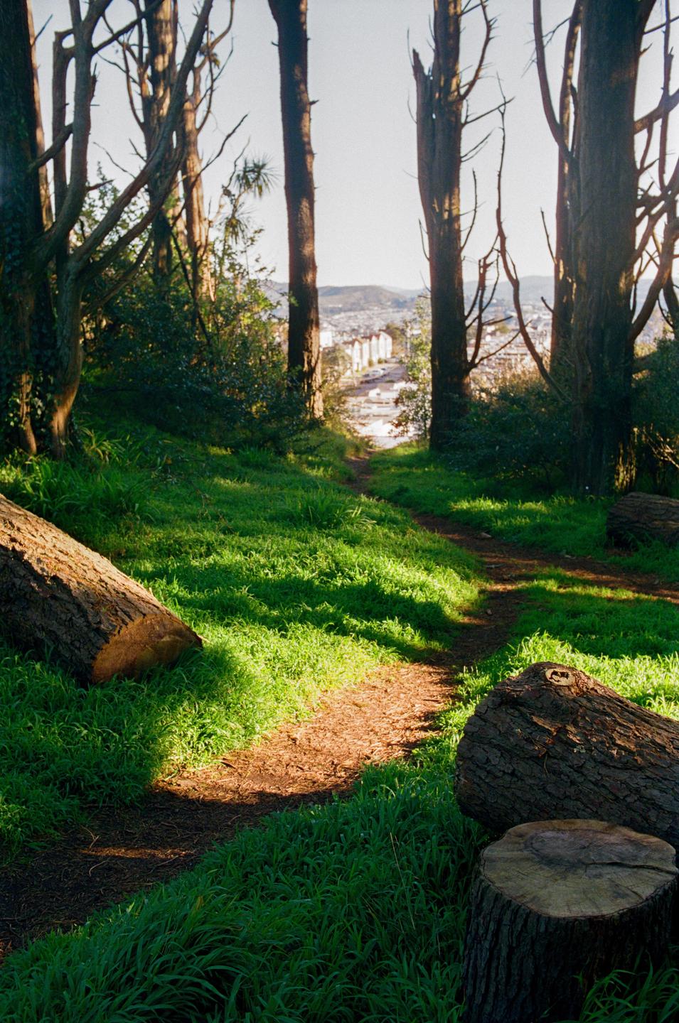 A dirt path winds through a grassy forest with a city visible in the distance.