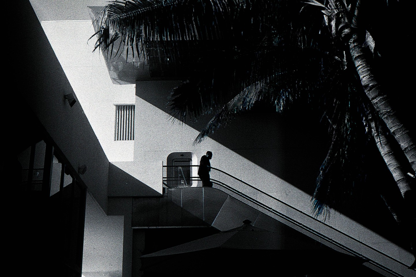 A man stands on a staircase next to a building with a palm tree overhead.