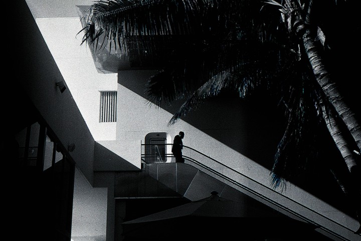 A man stands on a staircase next to a building with a palm tree overhead.