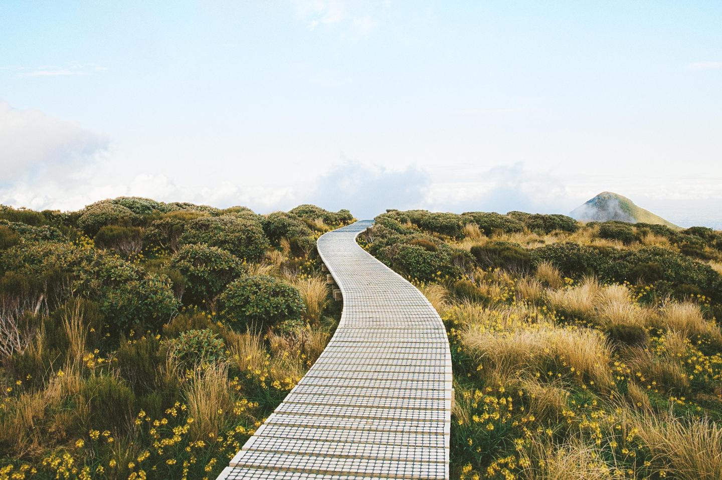 A winding boardwalk path leads through a field of green and yellow plants towards a distant mountain peak under a cloudy sky.