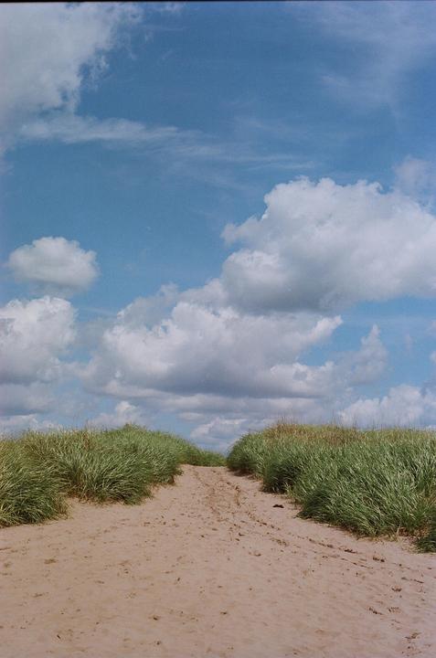 A sandy path leads between two grassy dunes under a blue sky with white clouds.