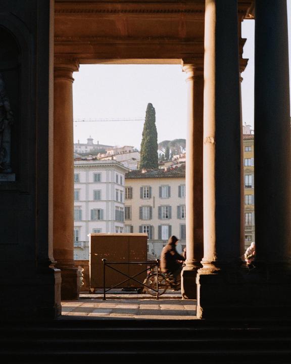 A person on a bicycle rides past a building with columns, with other buildings and a tall tree in the background.