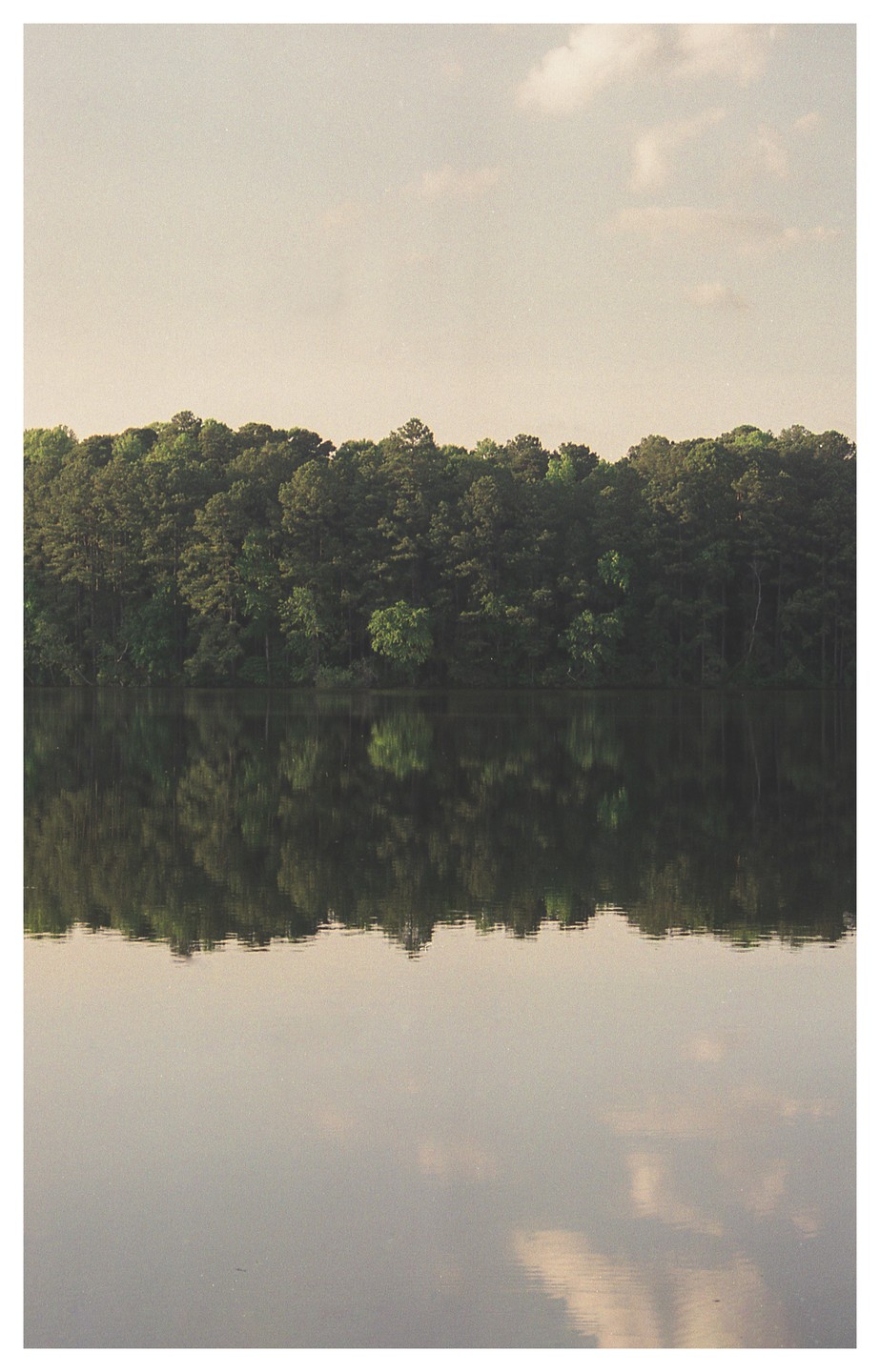A dense line of trees is reflected in the still water of a lake under a pale sky.