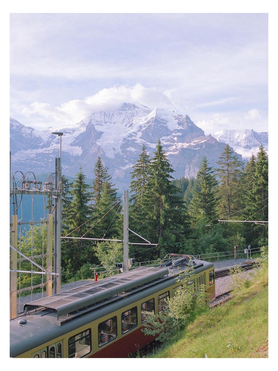 A train travels along a track through a forest with snow-capped mountains in the background.