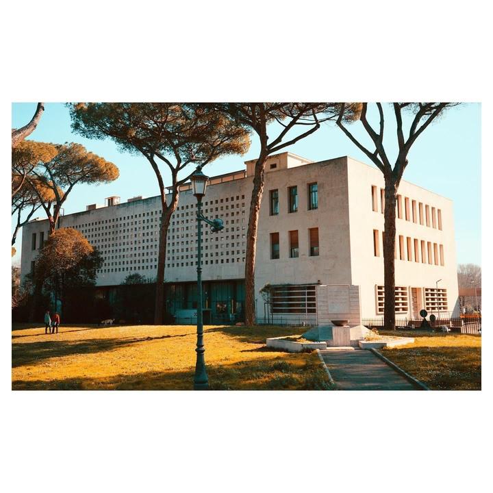 A large, light-colored building with many small square windows and tall, thin trees in front of it stands behind a grassy area with a lamppost and a path.