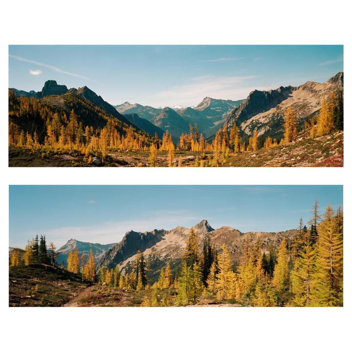 Two panoramic images show a mountain landscape with golden larch trees under a clear sky.