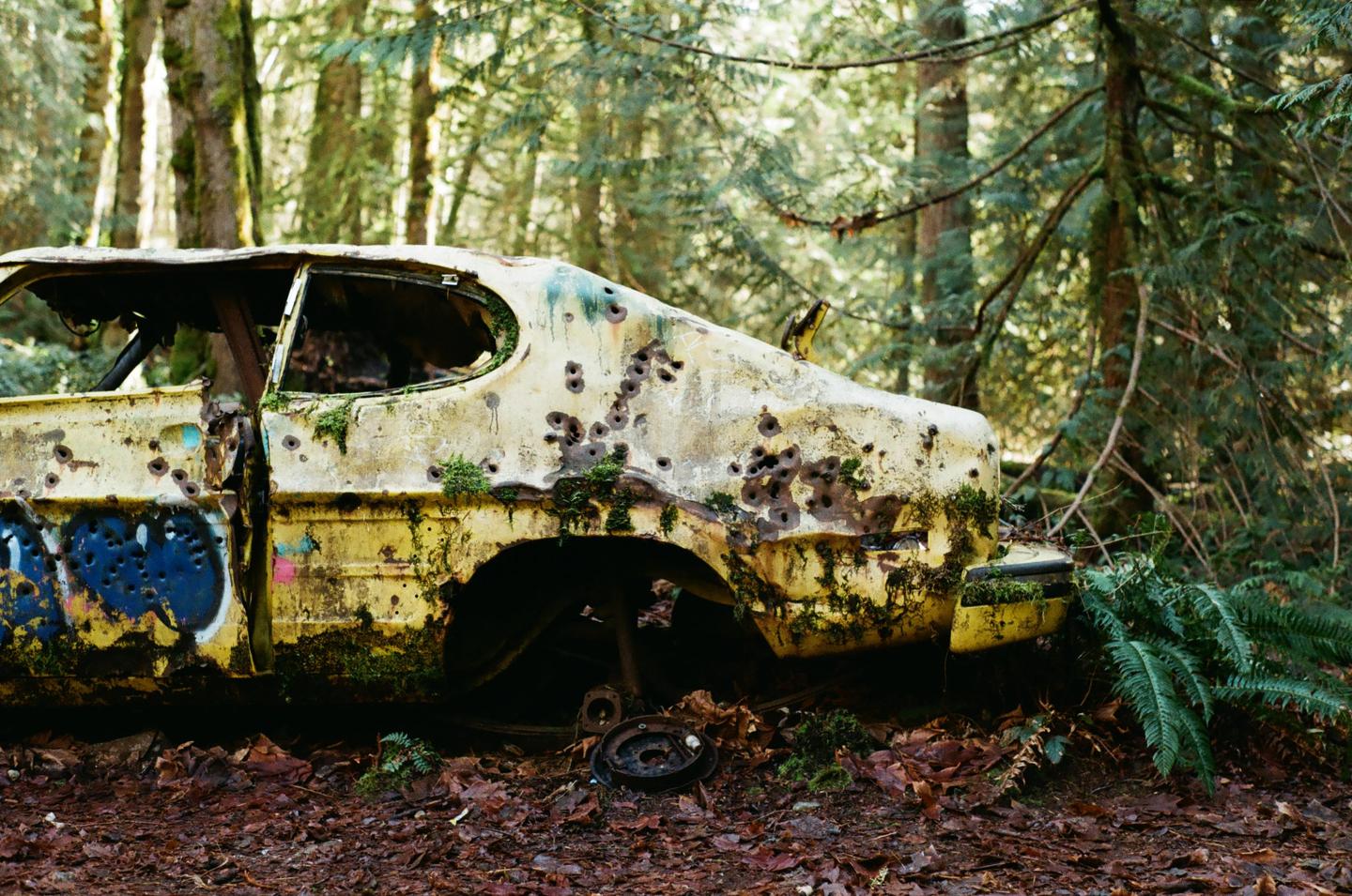 A yellow abandoned car with bullet holes and graffiti sits in a forest.