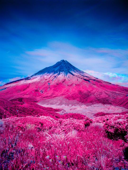 A mountain rises above a landscape of pink foliage under a blue sky.