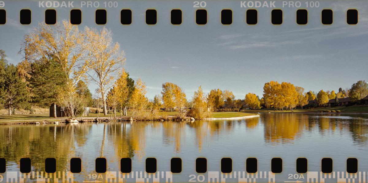A body of water reflects trees with autumn foliage under a clear sky.