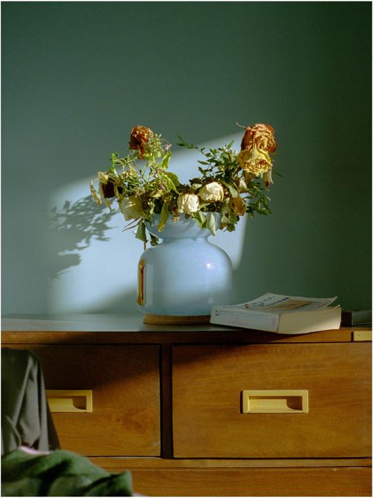 A vase of dried flowers sits on a wooden dresser next to a book, with sunlight casting shadows on the wall.