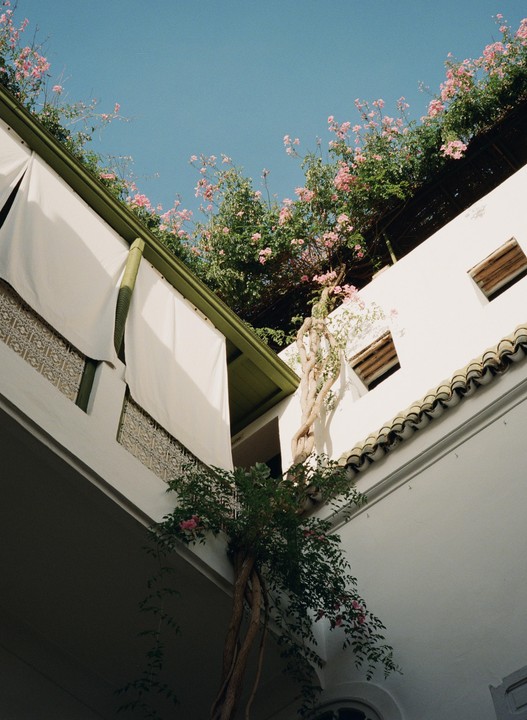 Pink flowers and green foliage grow over white buildings under a clear blue sky.