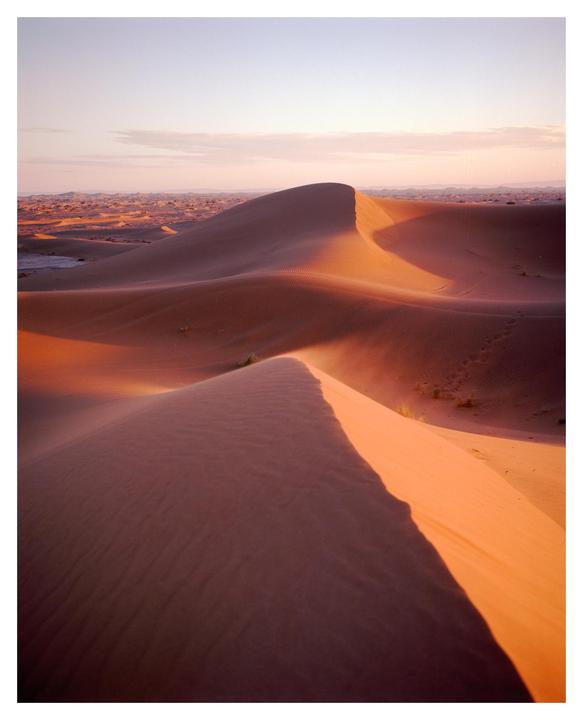 Sand dunes are illuminated by the golden hour sun, casting long shadows across the desert landscape.