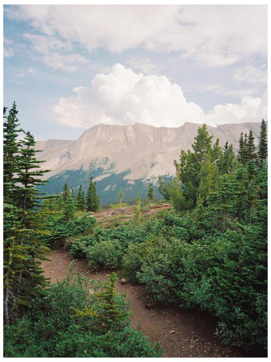 A dirt path winds through green bushes and pine trees with a large mountain range and cloudy sky in the background.