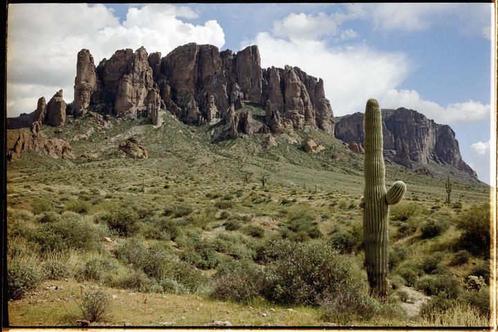 A saguaro cactus stands in a desert landscape with mountains under a cloudy sky.