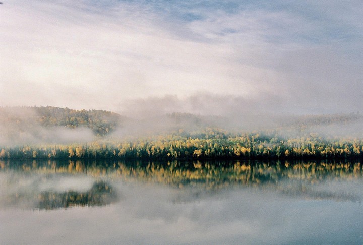 A forest with autumn foliage is reflected in a calm body of water, with fog partially obscuring the trees.