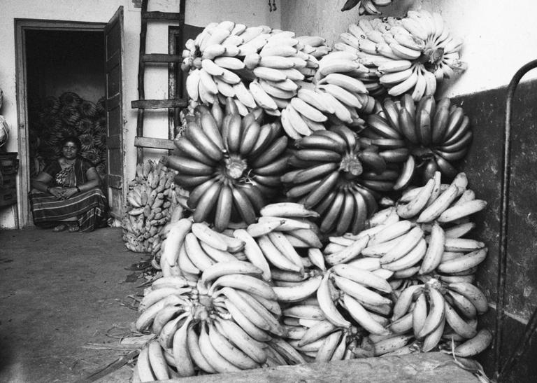A woman sits in a doorway surrounded by large piles of bananas in a room.