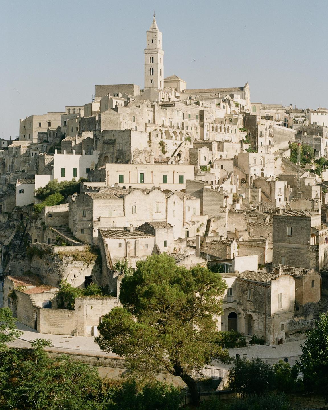 A large tree stands in front of a hillside town with a tall bell tower.