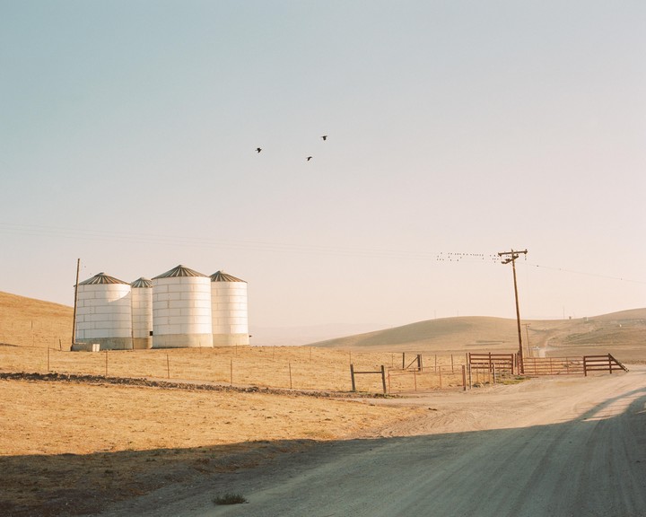 Four silos stand on a dry, grassy hill next to a dirt road, with birds flying in the sky and perched on a telephone wire.