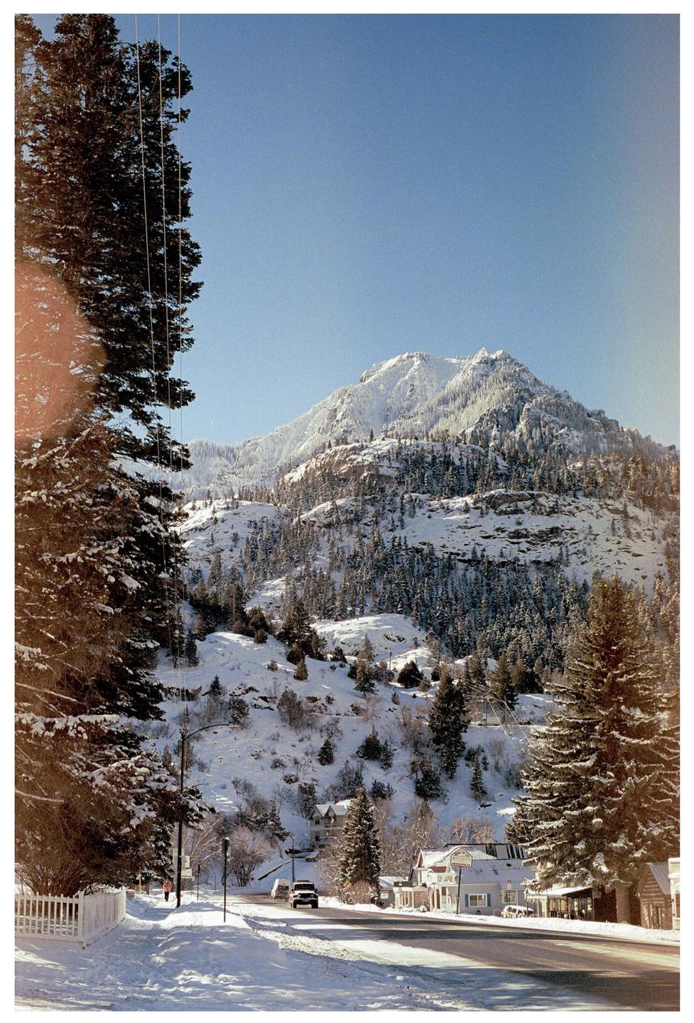 A snow-covered mountain rises above a street with houses and pine trees.