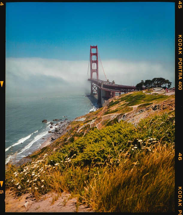 The Golden Gate Bridge is partially obscured by fog, with a hillside covered in green and brown vegetation and white flowers in the foreground.