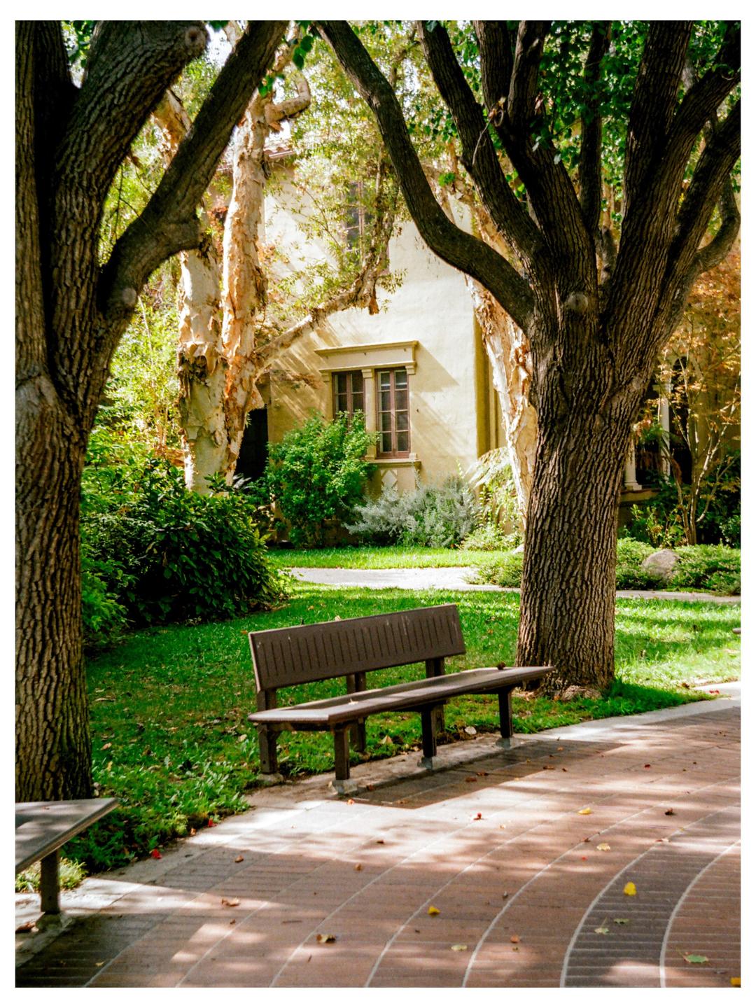A park bench sits on a brick path with trees and a building in the background.