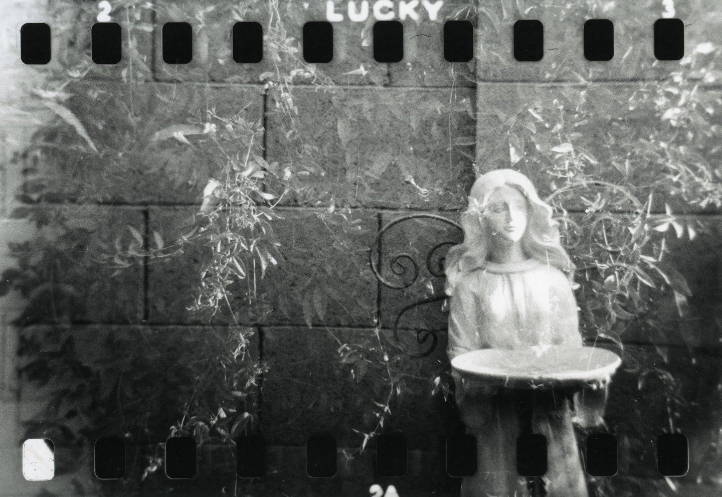 A statue of an angel holding a bird bath stands in front of a stone wall covered in vines.
