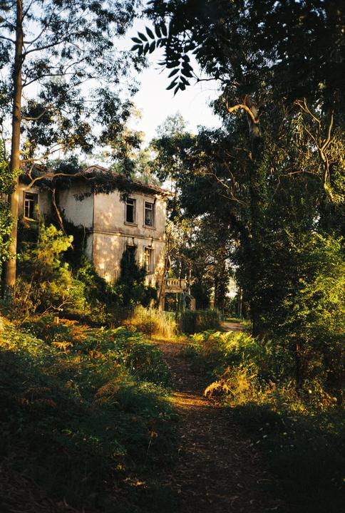 A path leads through a lush forest towards an old, overgrown house.