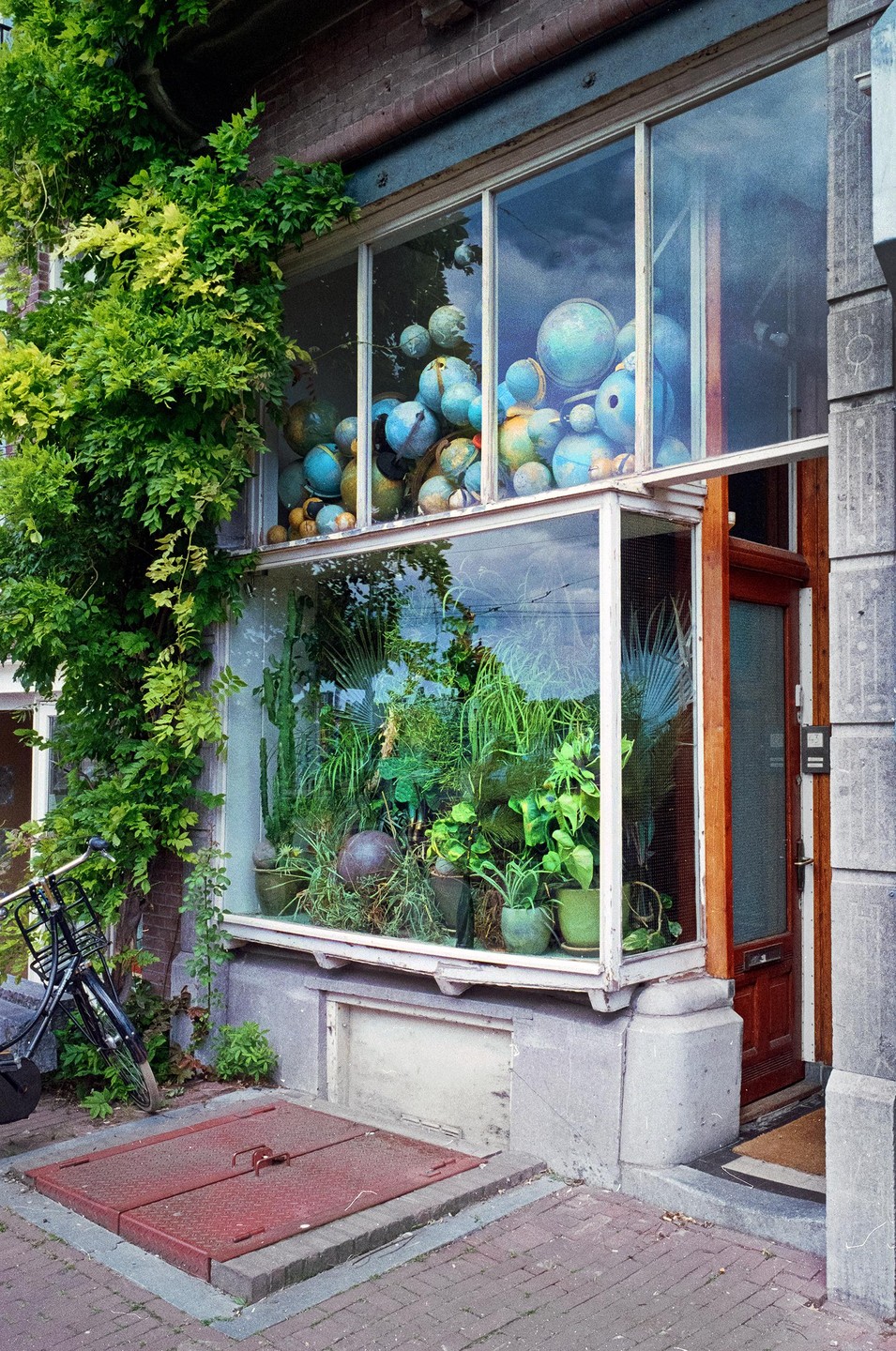 A storefront window displays a collection of globes on the top shelf and various potted plants on the bottom shelf, with a bicycle parked outside.