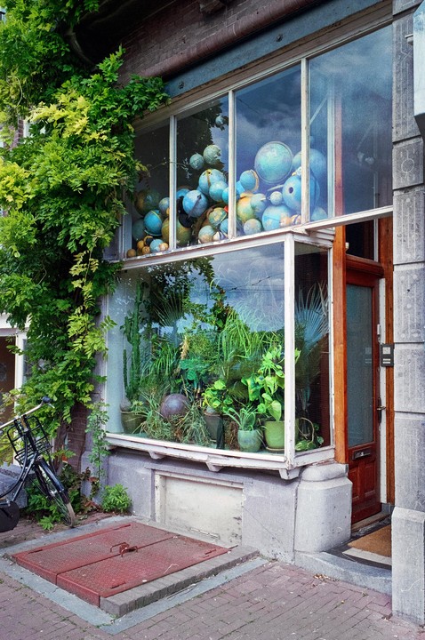 A storefront window displays a collection of globes on the top shelf and various potted plants on the bottom shelf, with a bicycle parked outside.