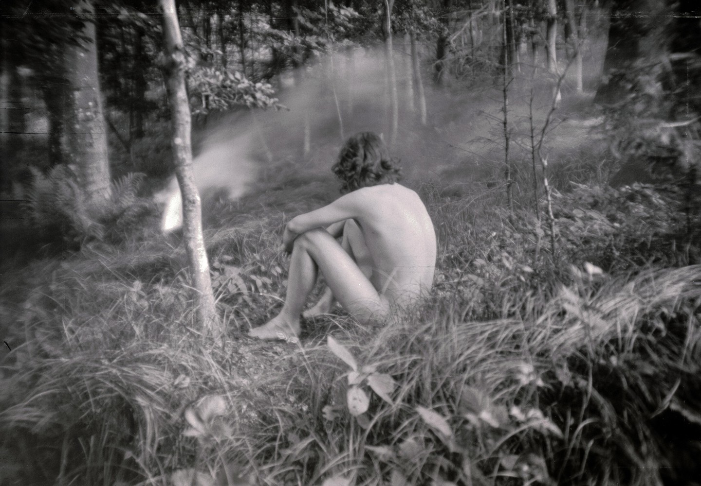 A nude person sits in tall grass in a forest with mist or smoke in the background.