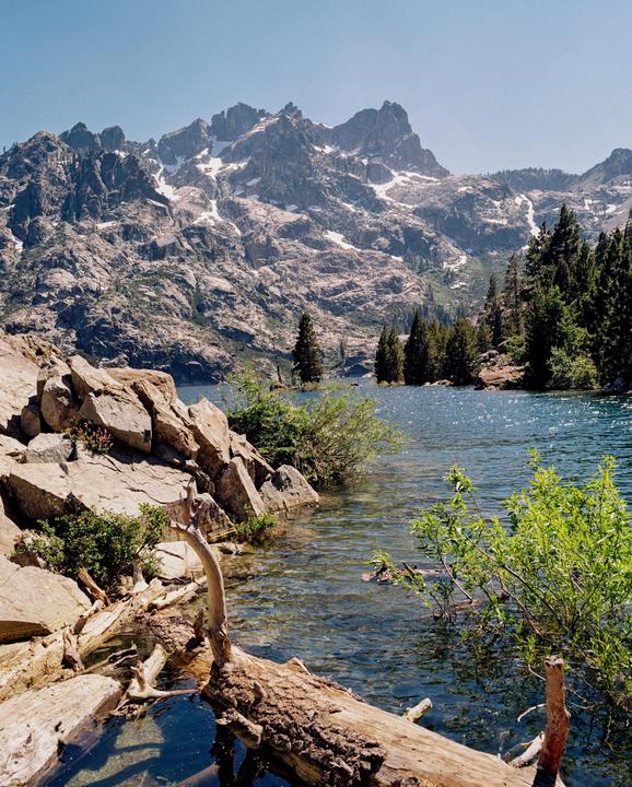 A clear lake with rocks and logs in the foreground is surrounded by pine trees and snow-capped mountains under a clear sky.