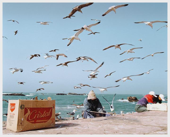 Two men are sitting on a concrete pier surrounded by many seagulls flying in the sky and resting on the water.