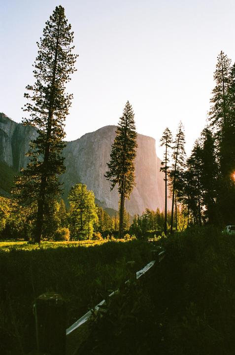 A large rock formation rises above a forest with tall trees and a grassy field in the foreground.