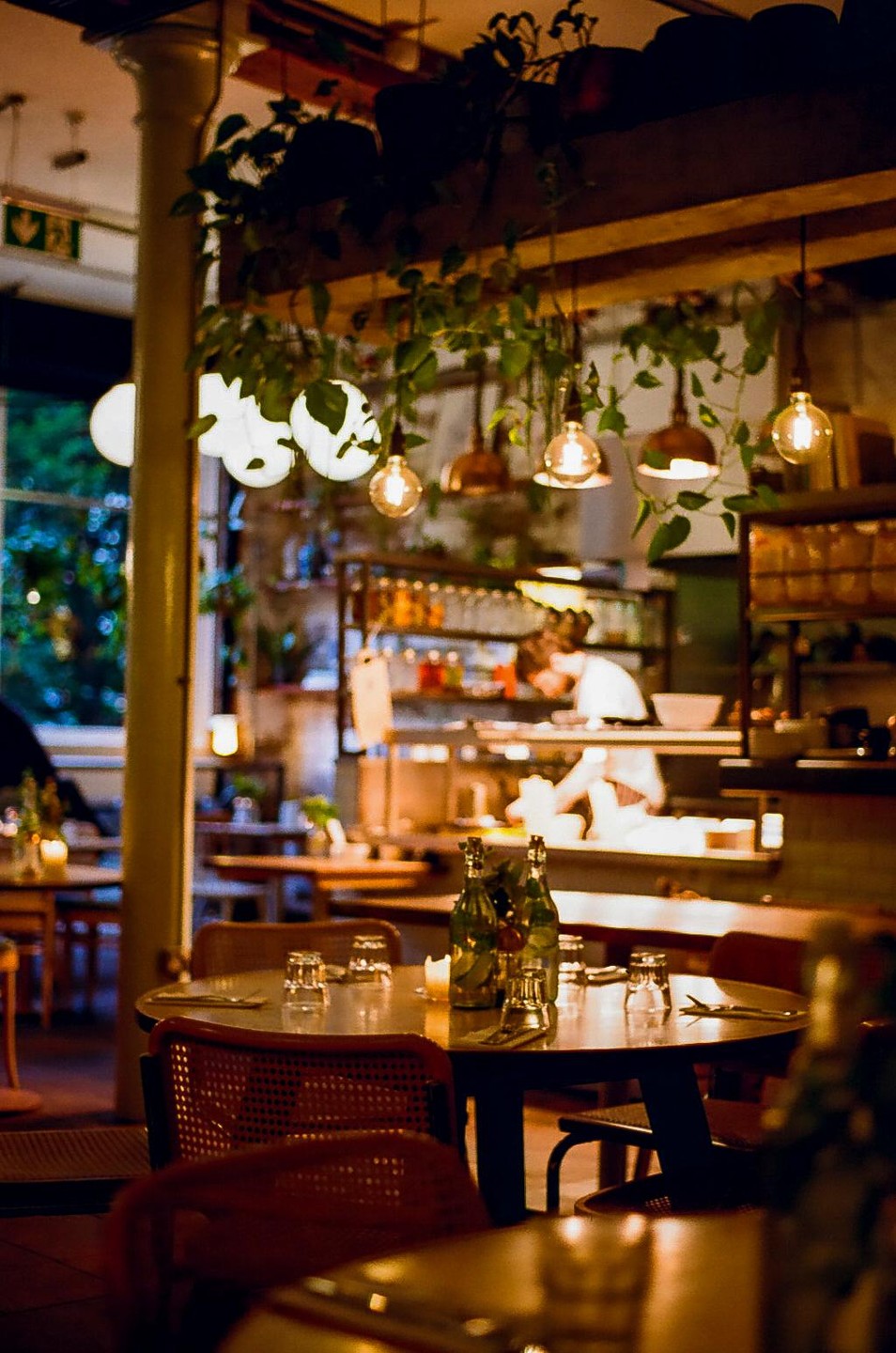 A restaurant interior is dimly lit with warm lights and features hanging plants, set tables, and a chef working in the background.