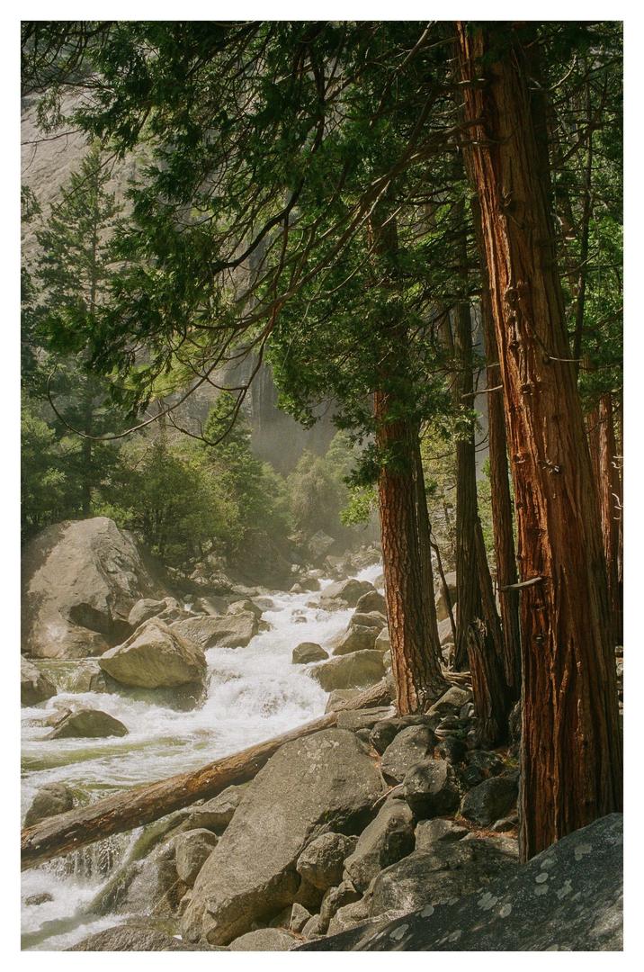 Yosemite | Olympus OM1 | UltraMax400, tagged yosemite