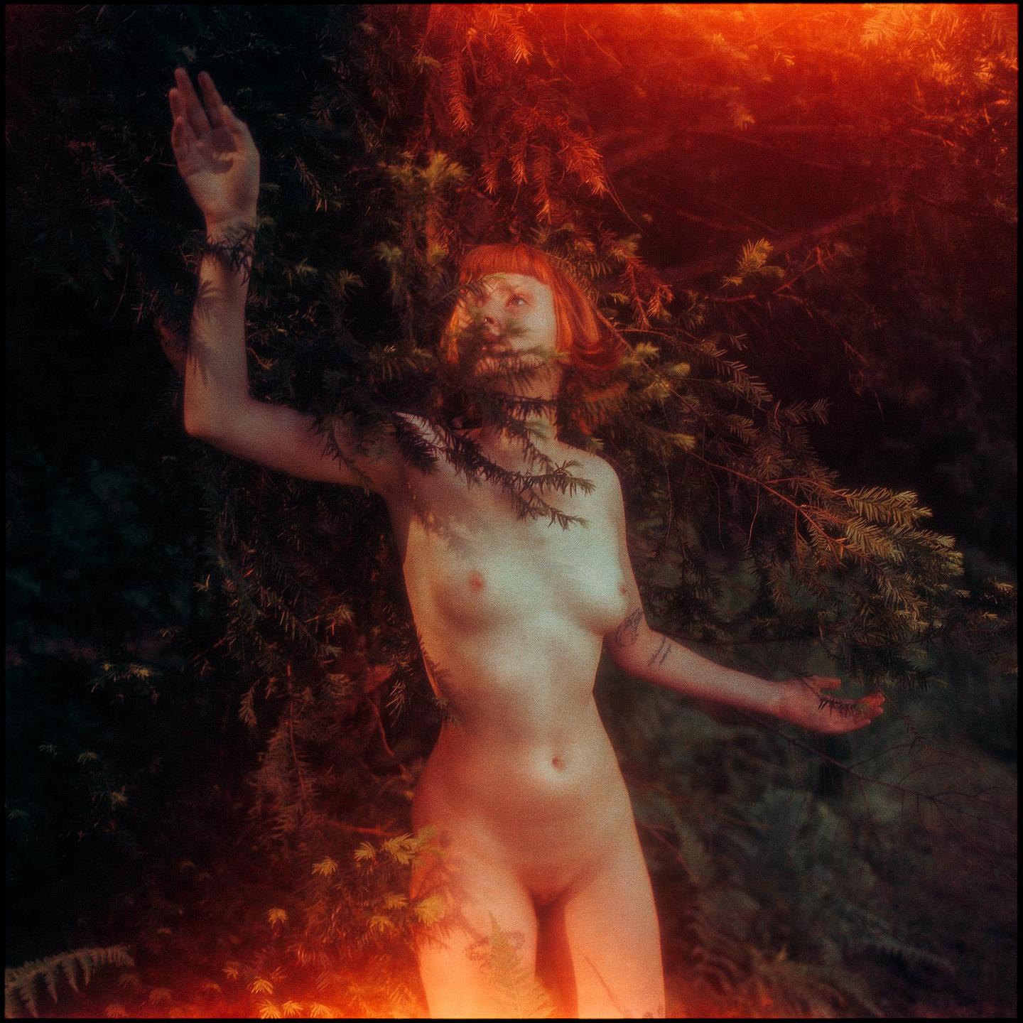 A nude woman with red hair stands among dark green foliage, with warm light illuminating her body and the surrounding plants.
