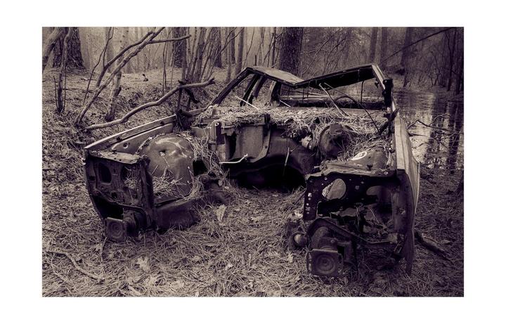 A rusted, stripped car body sits in a forest with water visible in the background.