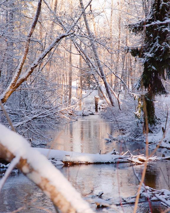 A narrow river flows through a snow-covered forest with fallen trees and branches.