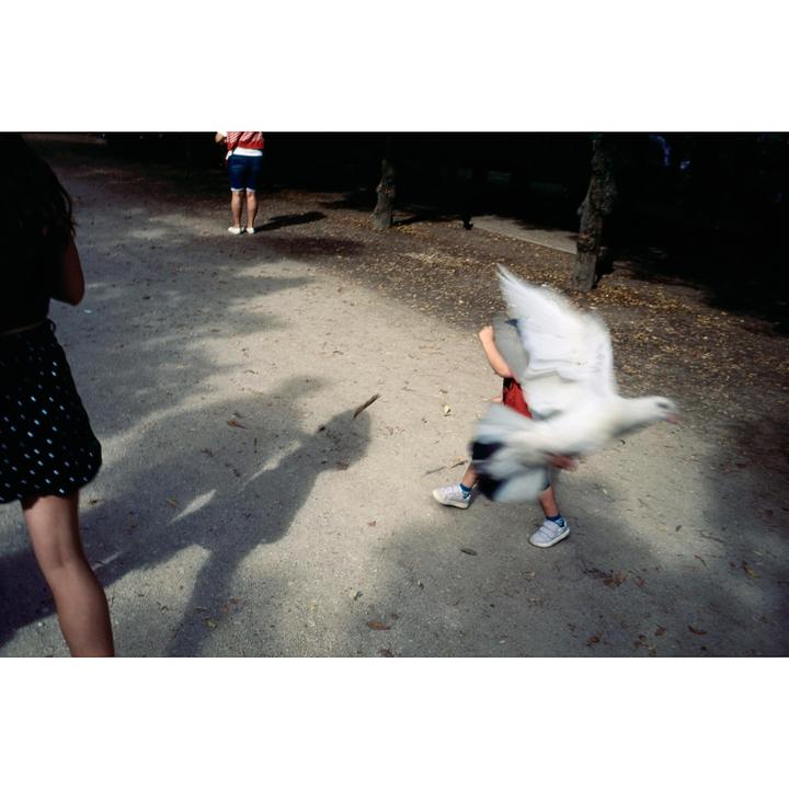 A child in a red shirt runs on a dirt path with a white bird flying in front of them.
