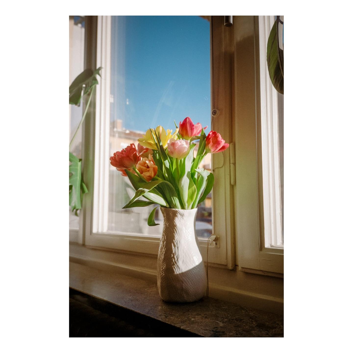 A vase of colorful tulips sits on a windowsill with a clear blue sky visible outside.