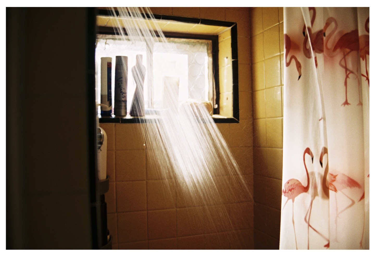 Water sprays from a shower head onto a tiled wall with a window and bottles, next to a shower curtain with flamingoes.