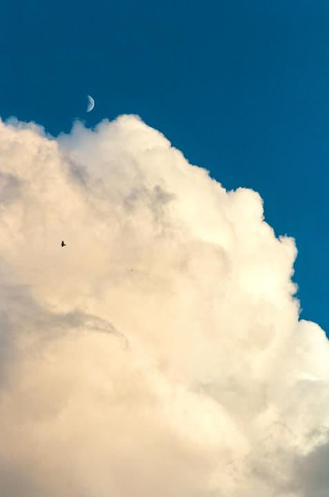 A crescent moon is visible in a blue sky above a large cloud with a bird flying near it.
