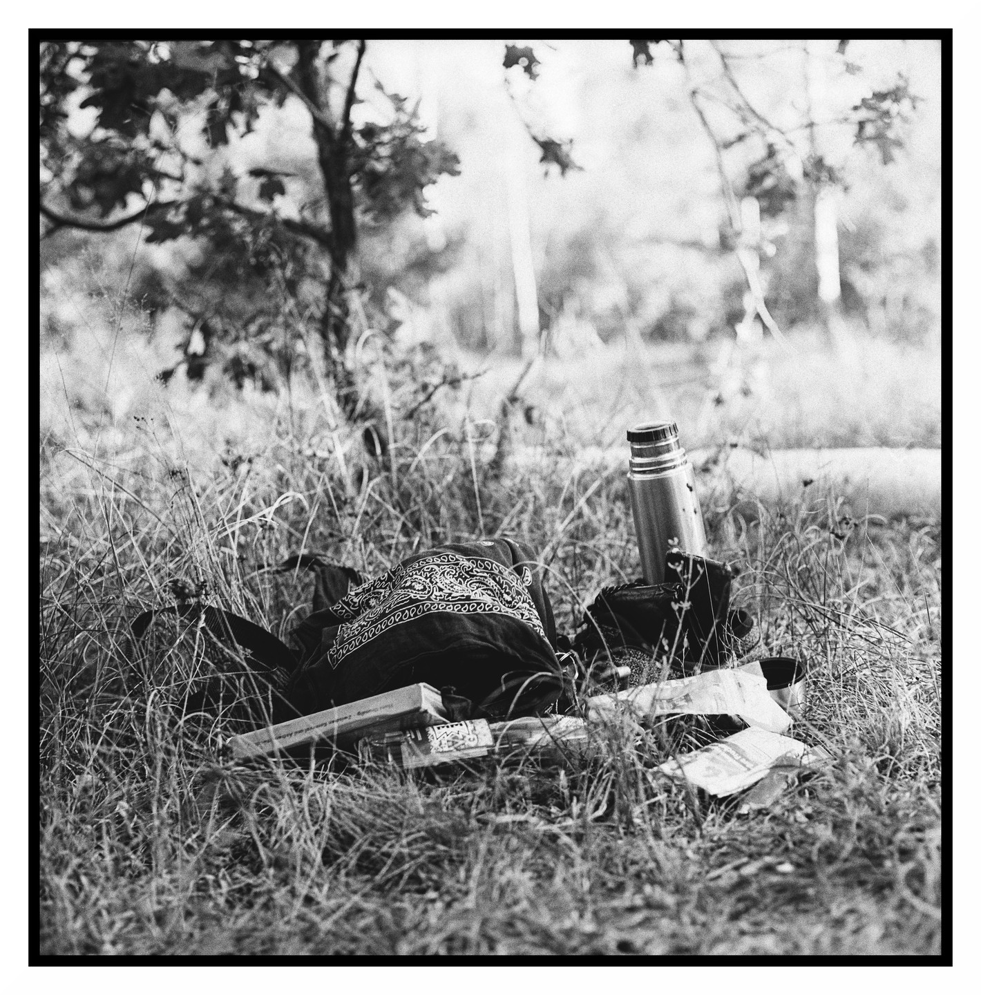 A bandana, a book, and a thermos are lying in tall grass under a tree.