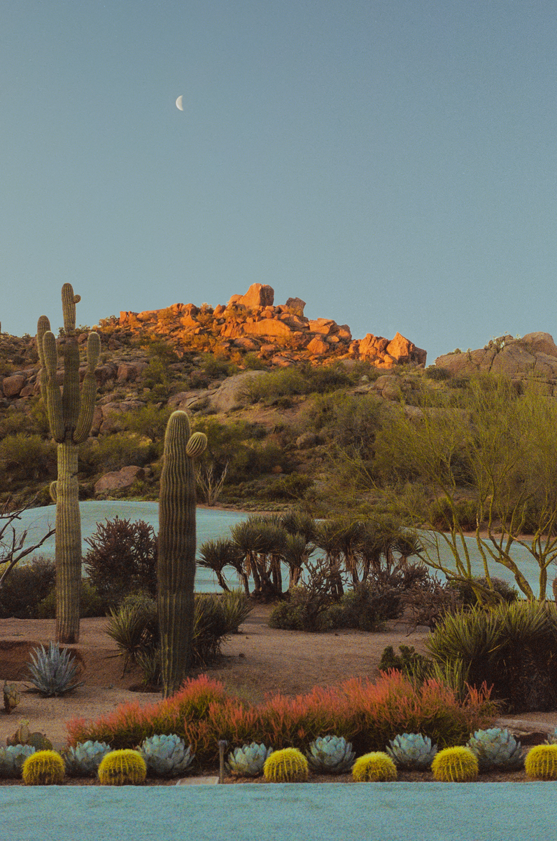 A crescent moon hangs in the sky above a desert landscape with saguaro cacti and a rocky mountain.